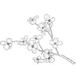 Raskrasil.com-Coloring-Pages-China-153