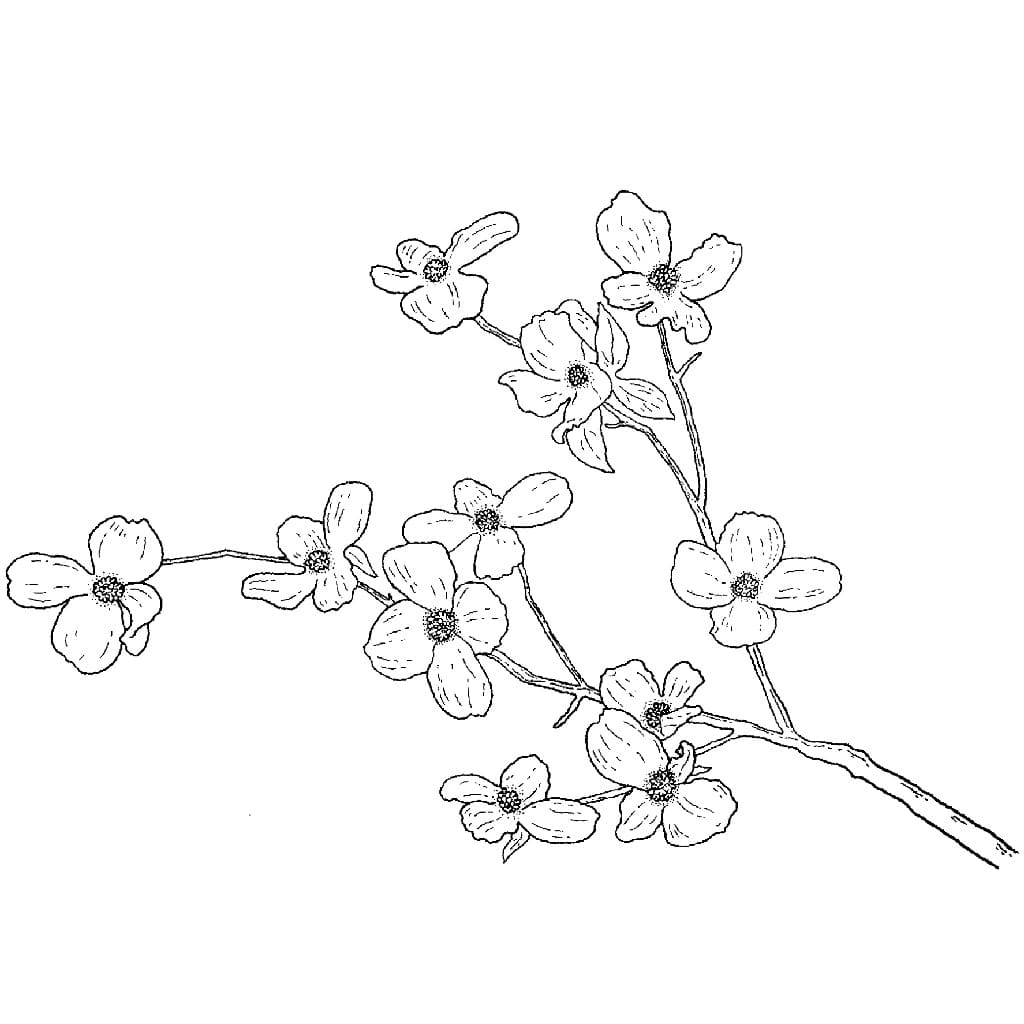 Raskrasil.com-Coloring-Pages-China-153