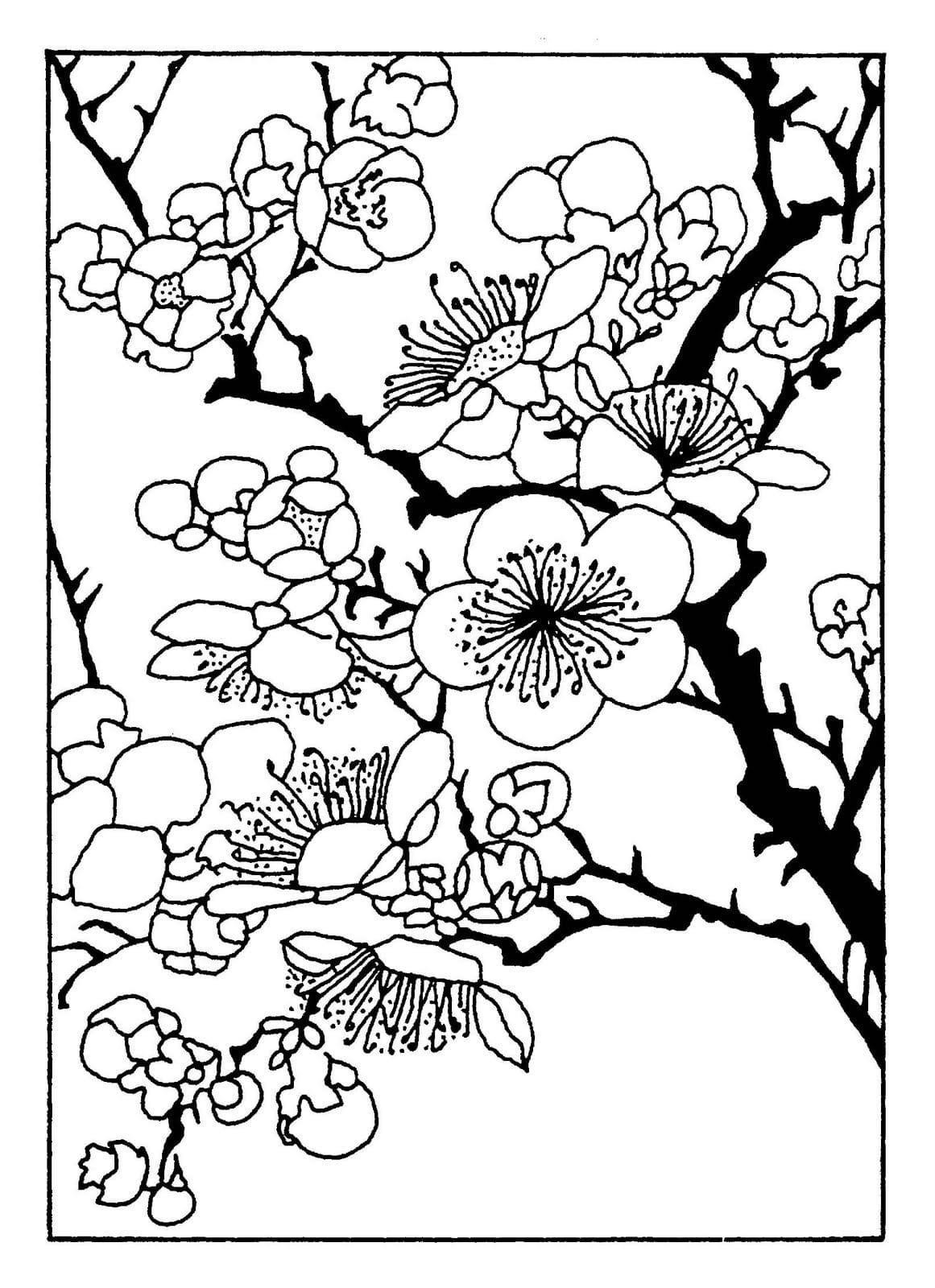 Raskrasil.com-Coloring-Pages-China-66