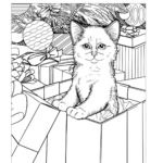 Raskrasil.com-Coloring-Pages-Christmas-Kittens-9
