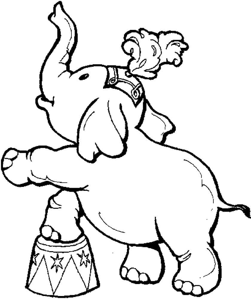 Circus Coloring Pages | 100 Pictures Free Printable