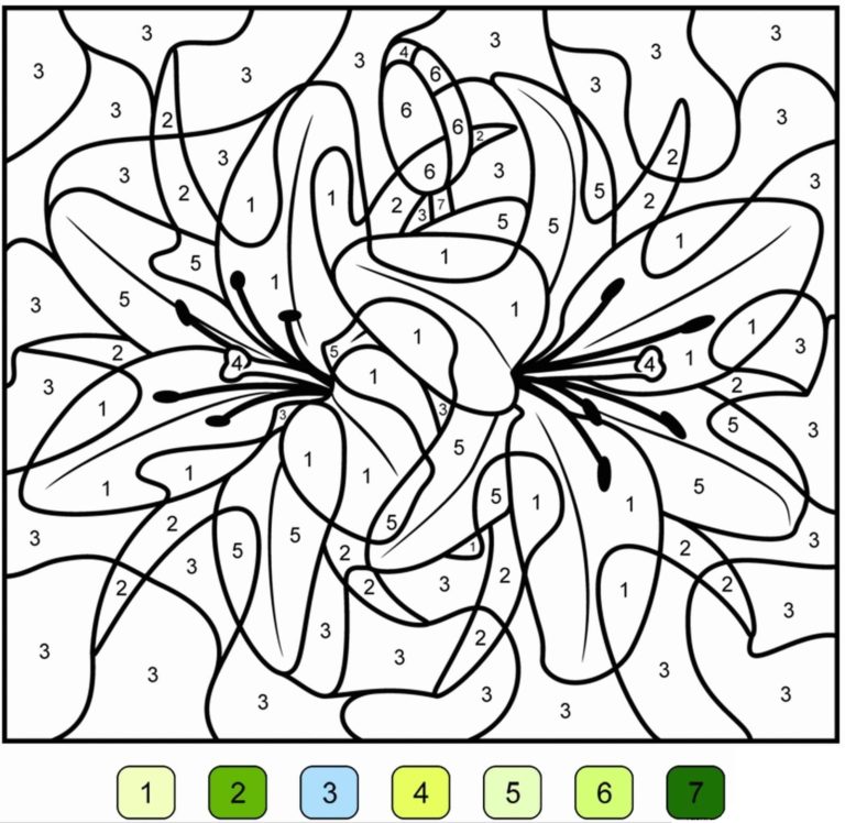 Desenhos De Colorir Com N meros Para Adultos Desenhos De Colorir Com N meros Para Adultos