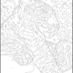 Raskrasil.com-Coloring-Pages-Color-by-Number-for-Adults-11