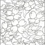 Raskrasil.com-Coloring-Pages-Color-by-Number-for-Adults-28