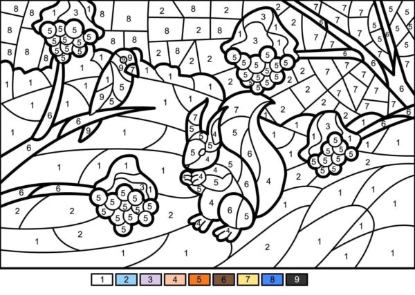 Color By Number for Adults | Free Printable