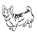 Previous Attachment
