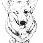 Raskrasil.com-Coloring-Pages-Corgi-18