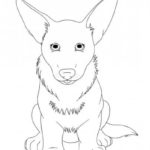 Raskrasil.com-Coloring-Pages-Corgi-19