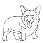 Raskrasil.com-Coloring-Pages-Corgi-2