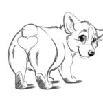 Raskrasil.com-Coloring-Pages-Corgi-22