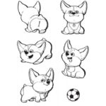 Raskrasil.com-Coloring-Pages-Corgi-23