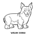 Raskrasil.com-Coloring-Pages-Corgi-36