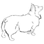 Raskrasil.com-Coloring-Pages-Corgi-51