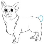 Raskrasil.com-Coloring-Pages-Corgi-55