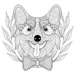 Raskrasil.com-Coloring-Pages-Corgi-63