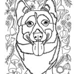 Raskrasil.com-Coloring-Pages-Corgi-64