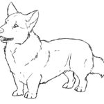 Raskrasil.com-Coloring-Pages-Corgi-65