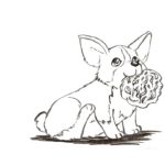 Raskrasil.com-Coloring-Pages-Corgi-69