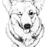 Raskrasil.com-Coloring-Pages-Corgi-71
