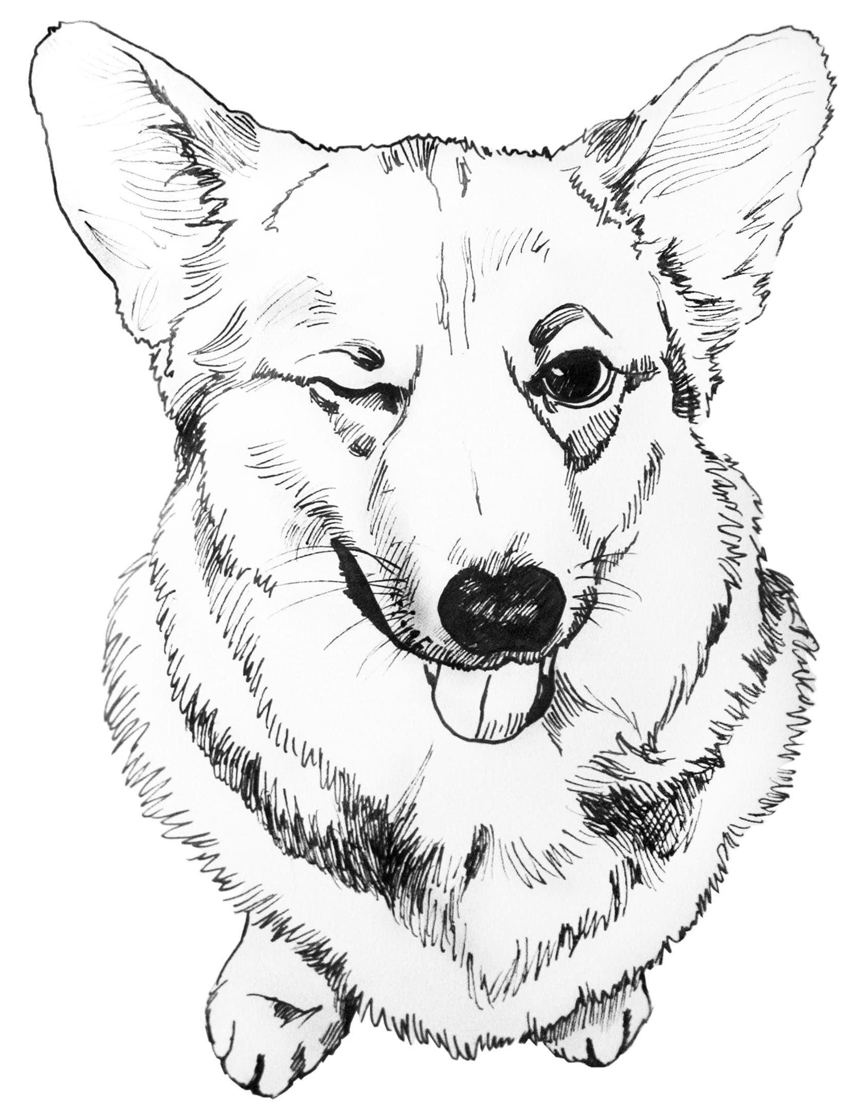 Corgi Coloring Pages | 90 Pictures Free Printable