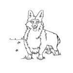 Raskrasil.com-Coloring-Pages-Corgi-80