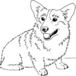Raskrasil.com-Coloring-Pages-Corgi-82