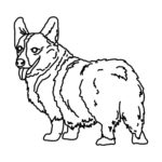 Raskrasil.com-Coloring-Pages-Corgi-83