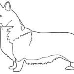 Raskrasil.com-Coloring-Pages-Corgi-86