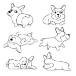Raskrasil.com-Coloring-Pages-Corgi-90