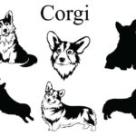 Raskrasil.com-Coloring-Pages-Corgi-92