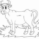 Raskrasil.com-Coloring-Pages-Cow-101