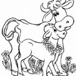 Raskrasil.com-Coloring-Pages-Cow-103