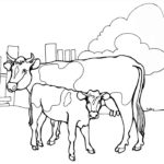 Raskrasil.com-Coloring-Pages-Cow-104