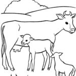Raskrasil.com-Coloring-Pages-Cow-108