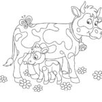 Raskrasil.com-Coloring-Pages-Cow-25