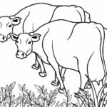 Raskrasil.com-Coloring-Pages-Cow-34