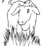 Raskrasil.com-Coloring-Pages-Cow-35
