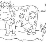 Raskrasil.com-Coloring-Pages-Cow-39