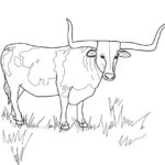 Raskrasil.com-Coloring-Pages-Cow-4