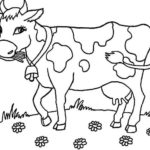 Raskrasil.com-Coloring-Pages-Cow-5