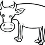 Raskrasil.com-Coloring-Pages-Cow-51