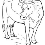 Raskrasil.com-Coloring-Pages-Cow-55