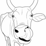 Raskrasil.com-Coloring-Pages-Cow-60