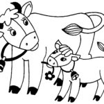 Raskrasil.com-Coloring-Pages-Cow-65