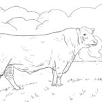 Raskrasil.com-Coloring-Pages-Cow-68
