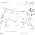 Raskrasil.com-Coloring-Pages-Cow-69