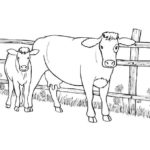 Raskrasil.com-Coloring-Pages-Cow-70