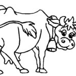 Raskrasil.com-Coloring-Pages-Cow-77