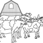 Raskrasil.com-Coloring-Pages-Cow-83