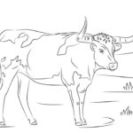 Raskrasil.com-Coloring-Pages-Cow-86